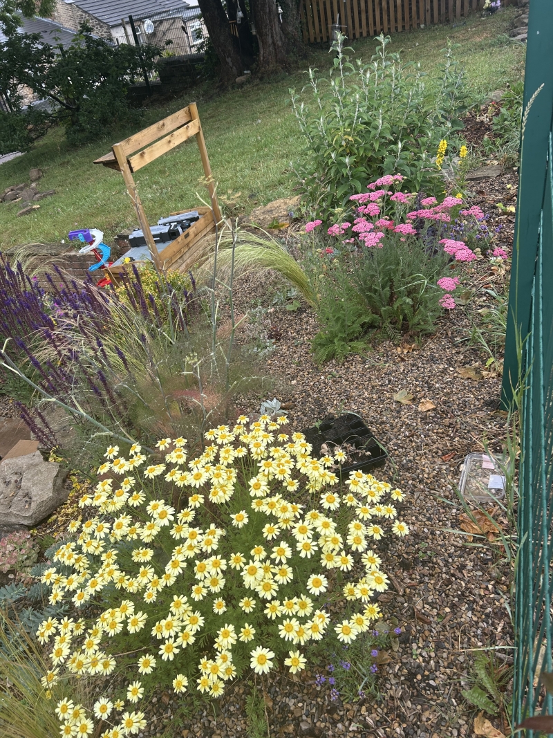Our Sensory Garden